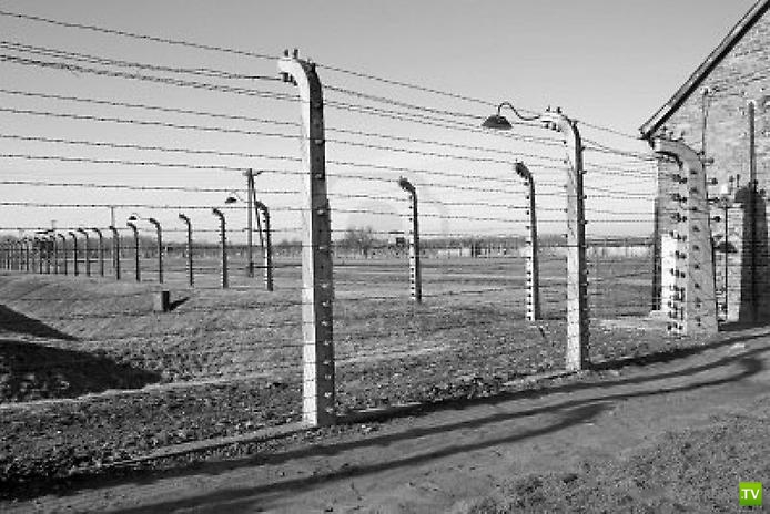 Польша. Концлагерь Освенцим. Музей Аушвиц-Биркенау (14 фото)