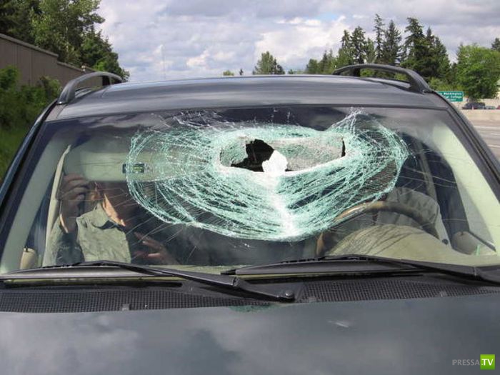 ����� ������� � ����� ���������� (8 ����)