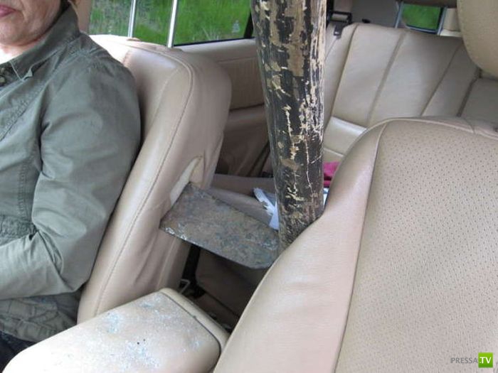 ����� ������� � ����� ���������� (8 ����)