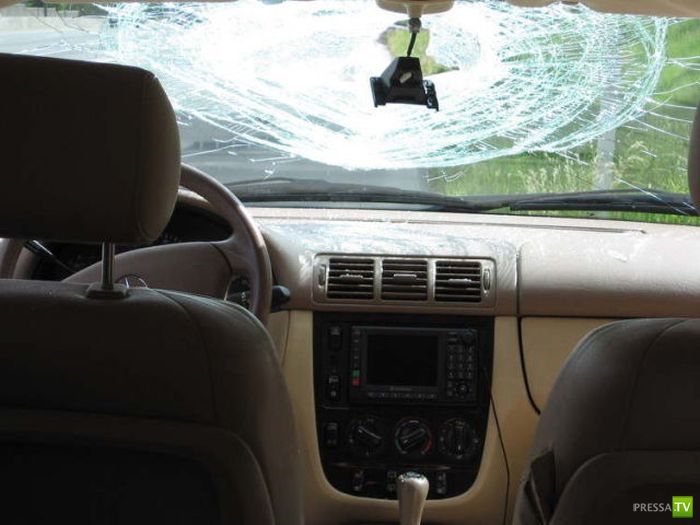 ����� ������� � ����� ���������� (8 ����)