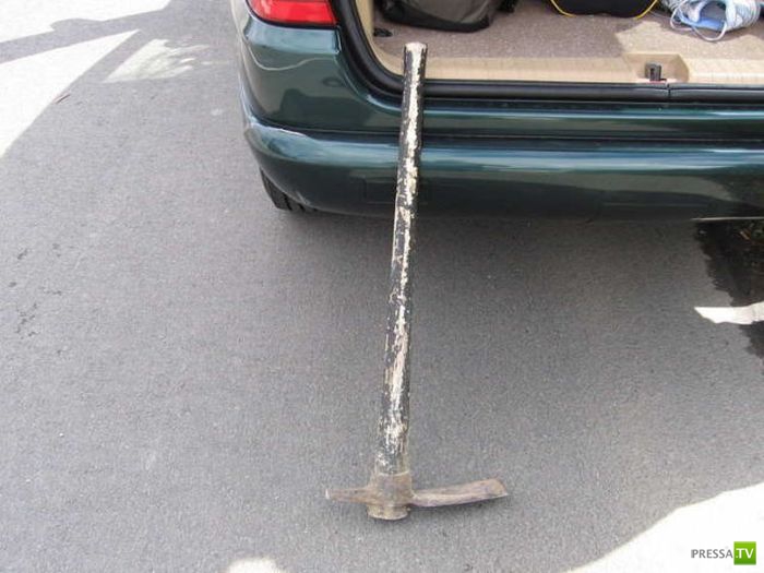 ����� ������� � ����� ���������� (8 ����)