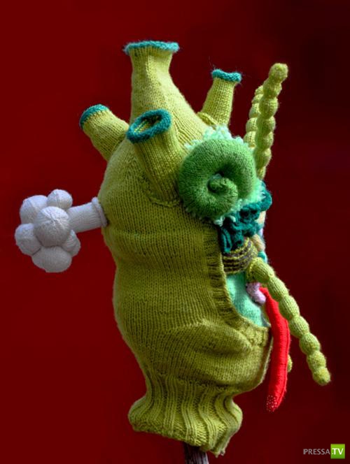 ����� ����������� ������� ����� (13 ����)