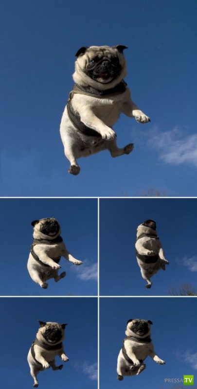 ��� �������� �������� (35 ����)