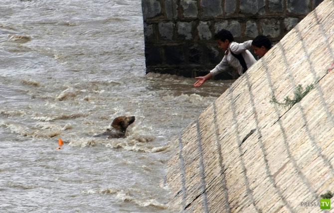 �������� - ������������ (32 ����)