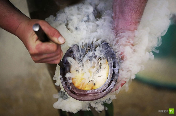 �������� - ������������ (32 ����)