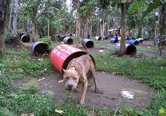 �������� - ������������ (32 ����)