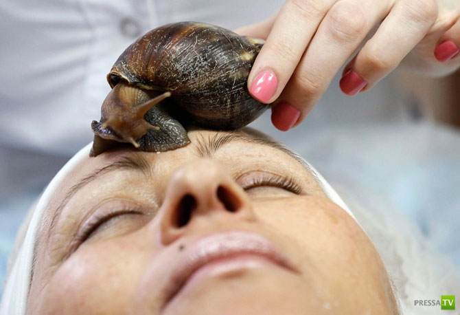 �������� - ������������ (32 ����)