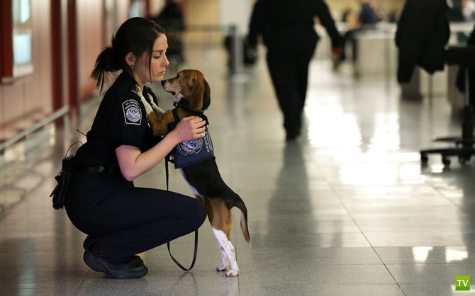 �������� - ������������ (32 ����)