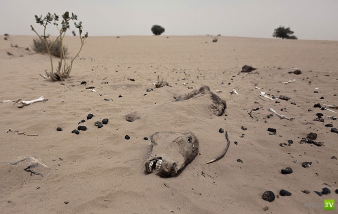 �������� - ������������ (32 ����)