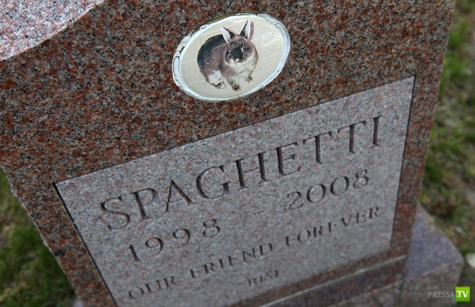 �������� - ������������ (32 ����)