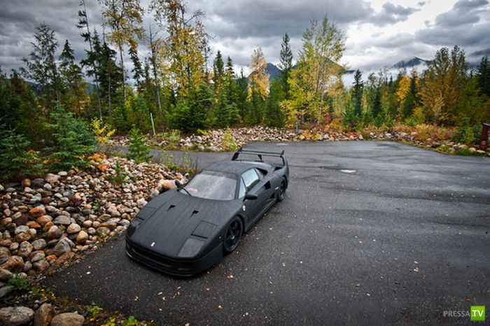 Ferrari F40 (10 ����)