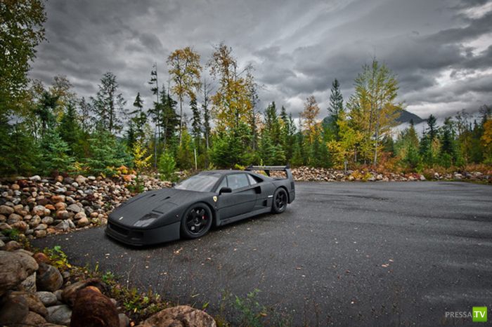 Ferrari F40 (10 ����)