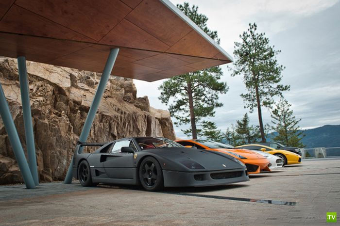 Ferrari F40 (10 ����)