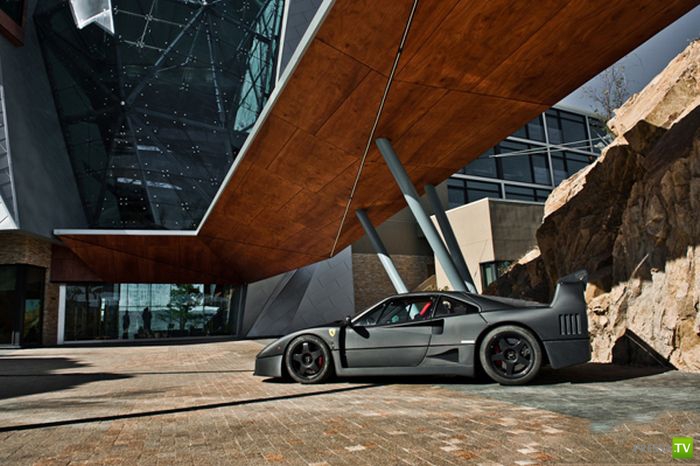 Ferrari F40 (10 ����)
