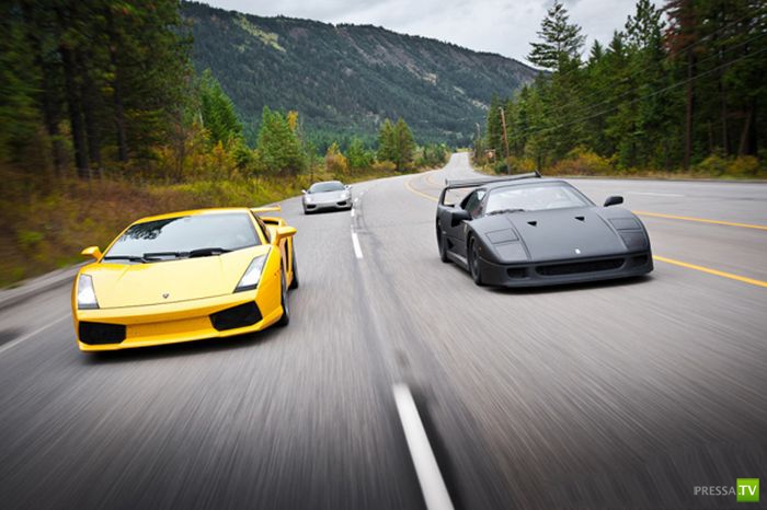 Ferrari F40 (10 ����)