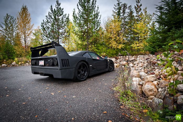 Ferrari F40 (10 ����)