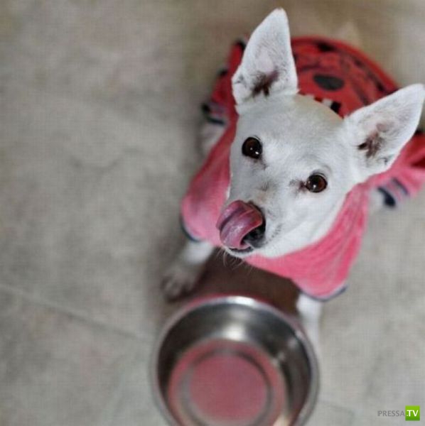 ��� �������� �������� (35 ����)