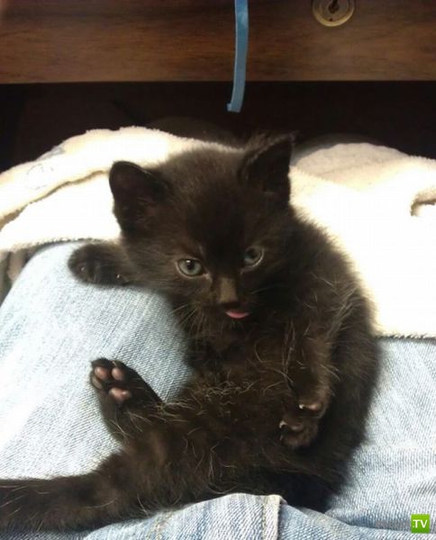 ��� �������� �������� (35 ����)