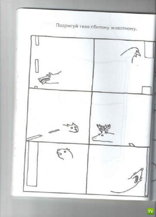 ����� �������� ������� ������ (15 ����)