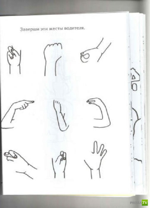 ����� �������� ������� ������ (15 ����)