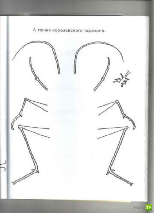 ����� �������� ������� ������ (15 ����)