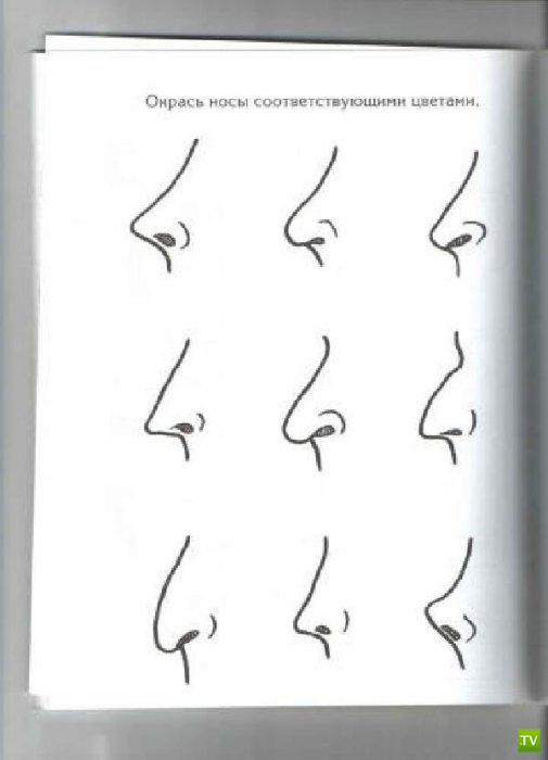 ����� �������� ������� ������ (15 ����)