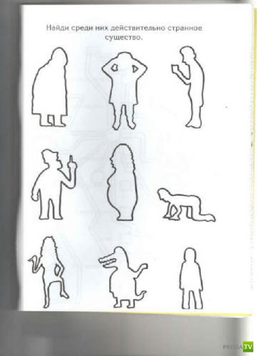 ����� �������� ������� ������ (15 ����)