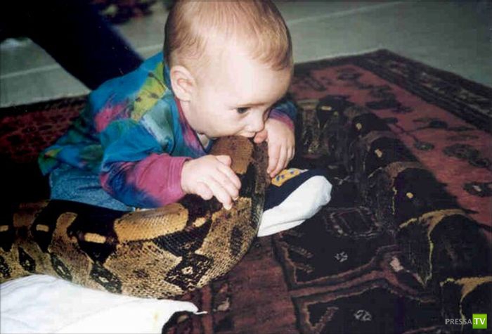 ��� ������������ ���� ����� �������? (8 ����)