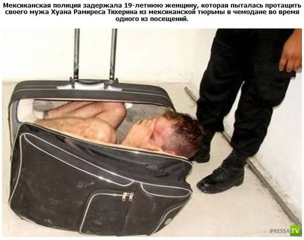 Невероятные контрабандитские трюки (10 фото)