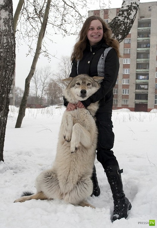 ������� ���������� ������... � ������� (11 ����)