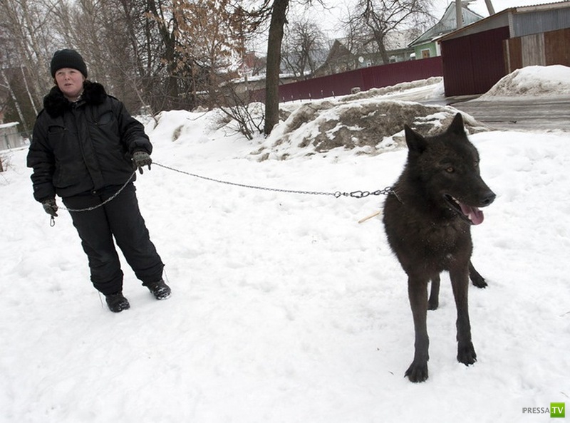 ������� ���������� ������... � ������� (11 ����)