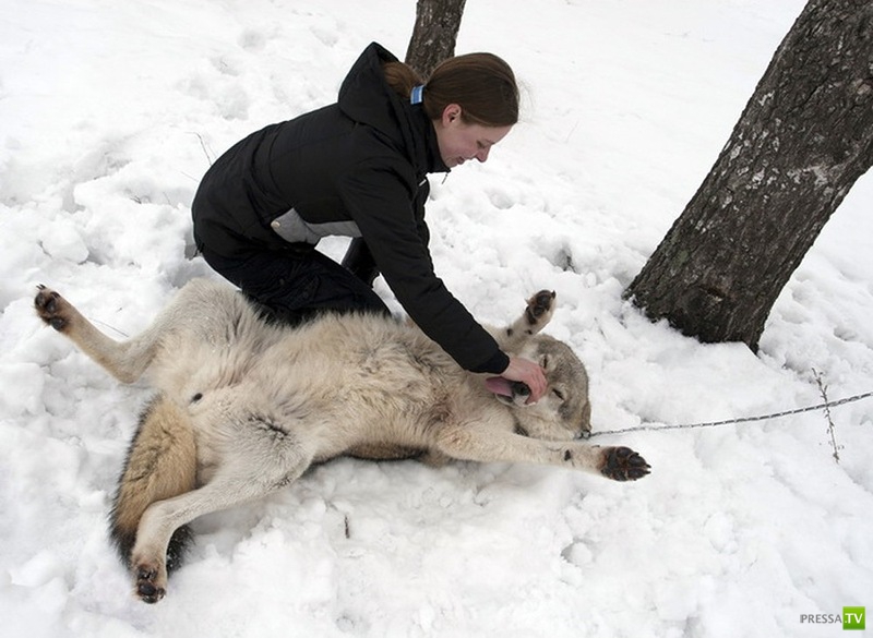 ������� ���������� ������... � ������� (11 ����)