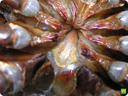 �������� � ��������� ������� ������ ����������!!! (13 ����)