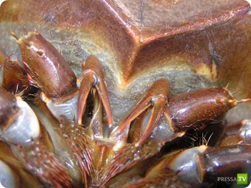 �������� � ��������� ������� ������ ����������!!! (13 ����)