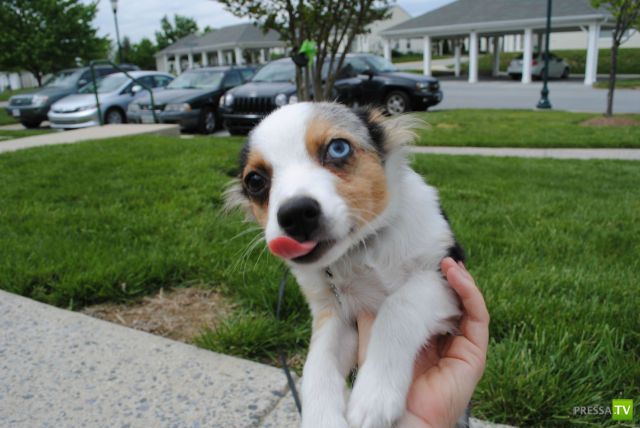 ��� ������� �������-����������, ����� 1 (40 ����)