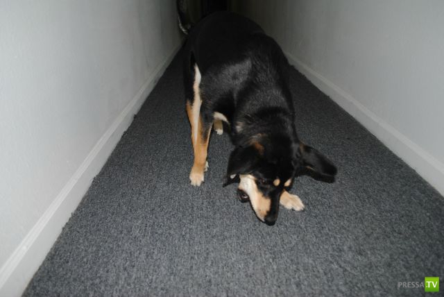 ��� ������� �������-����������, ����� 1 (40 ����)