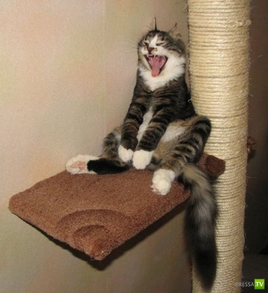 ��� ������� �������-����������, ����� 1 (40 ����)