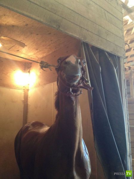 ��� ������� �������-����������, ����� 1 (40 ����)