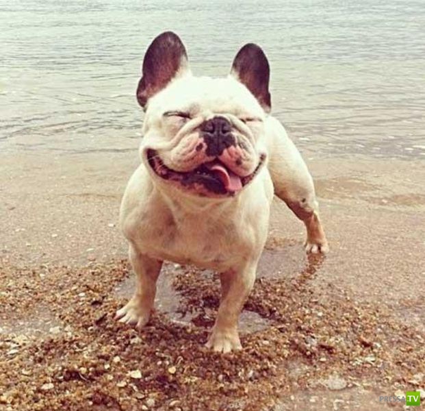 ��� ������� �������-����������, ����� 1 (40 ����)