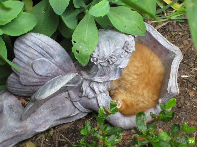 ��� ������� �������-����������, ����� 1 (40 ����)