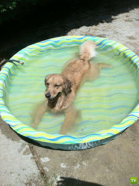 ��� ������� �������-����������, ����� 1 (40 ����)