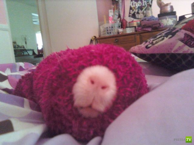 ��� ������� �������-����������, ����� 1 (40 ����)