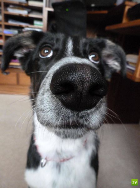 ��� ������� �������-����������, ����� 1 (40 ����)