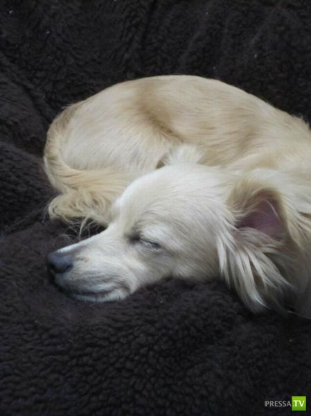 ��� ������� �������-����������, ����� 1 (40 ����)