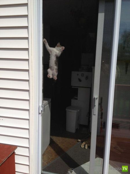 ��� ������� �������-����������, ����� 1 (40 ����)