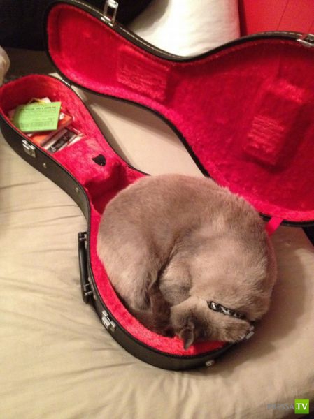 ��� ������� �������-����������, ����� 1 (40 ����)