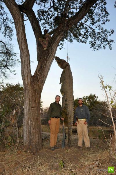 ������ � �������� - ������������� �������� �������� (12 ����)