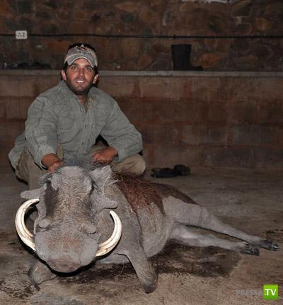 ������ � �������� - ������������� �������� �������� (12 ����)