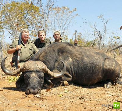 ������ � �������� - ������������� �������� �������� (12 ����)