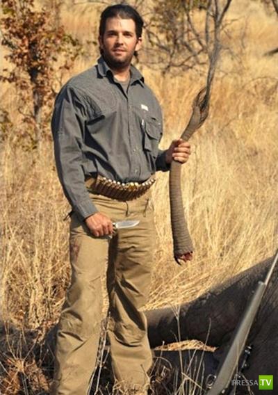 ������ � �������� - ������������� �������� �������� (12 ����)